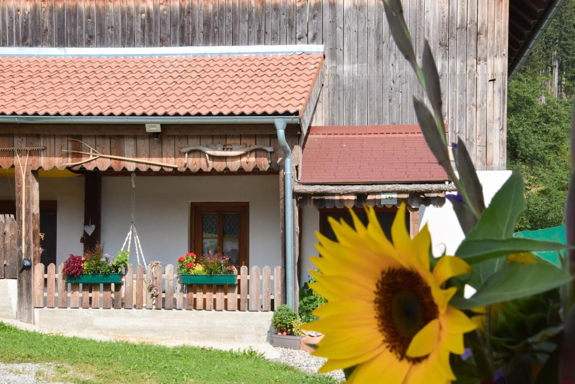 Romantiksuite Bei Seitberger Frauenberg Ngoại thất bức ảnh